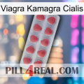 Viagra Kamagra Cialis 18